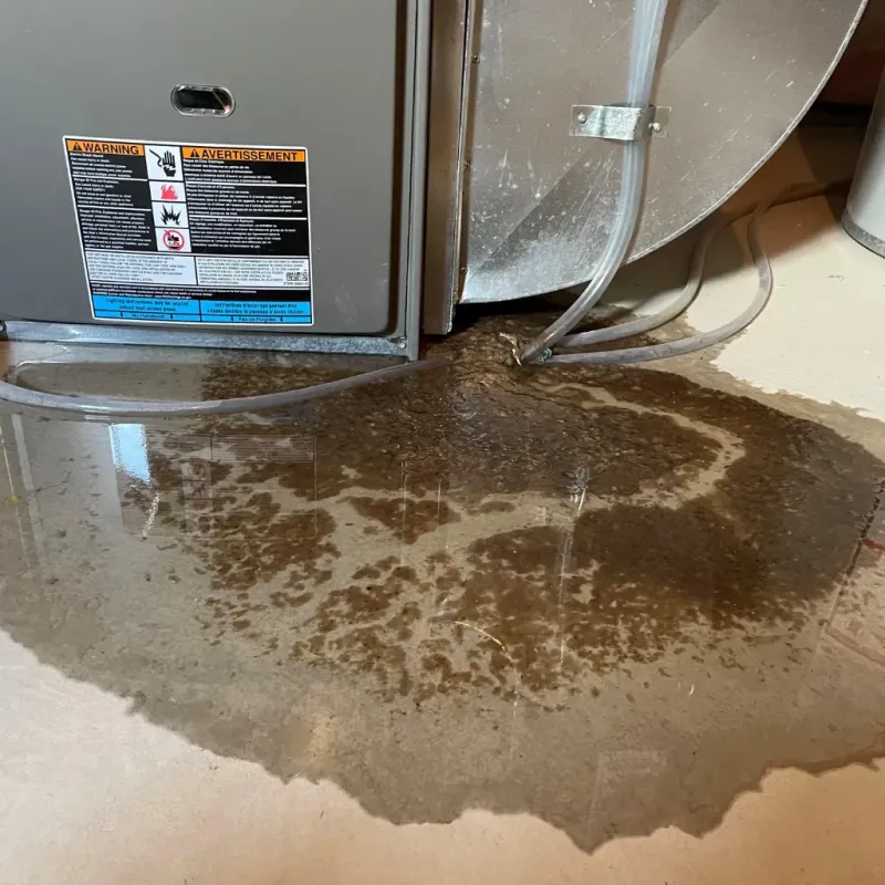 Appliance Leak Cleanup in Hudson, FL